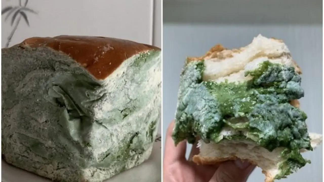 Roti viral lantaran miliki tampilan seperti berjamur