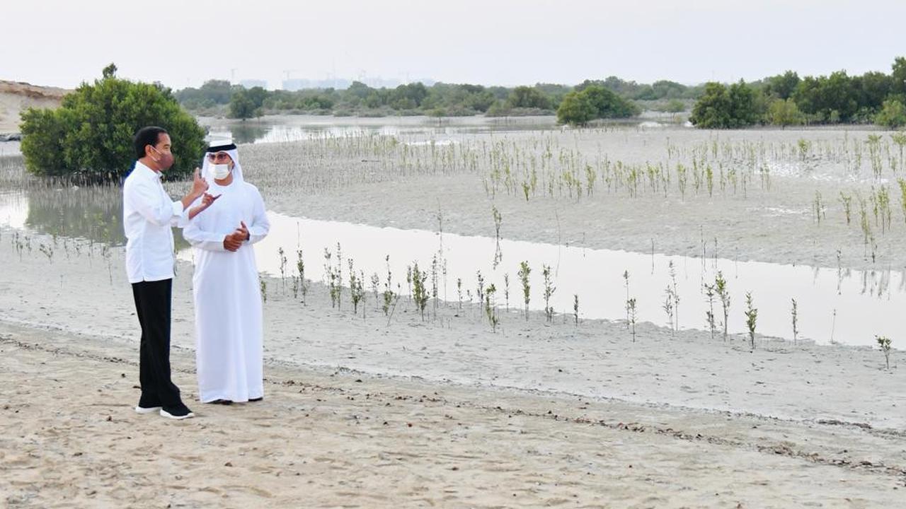 Presiden Jokowi di Jubail Mangrove Park disambut oleh Menteri Energi dan Infrastruktur PEA Suhail Al Mazrouei dan Direktur Utama Jubail Island Investment Company Mounir Haidar.