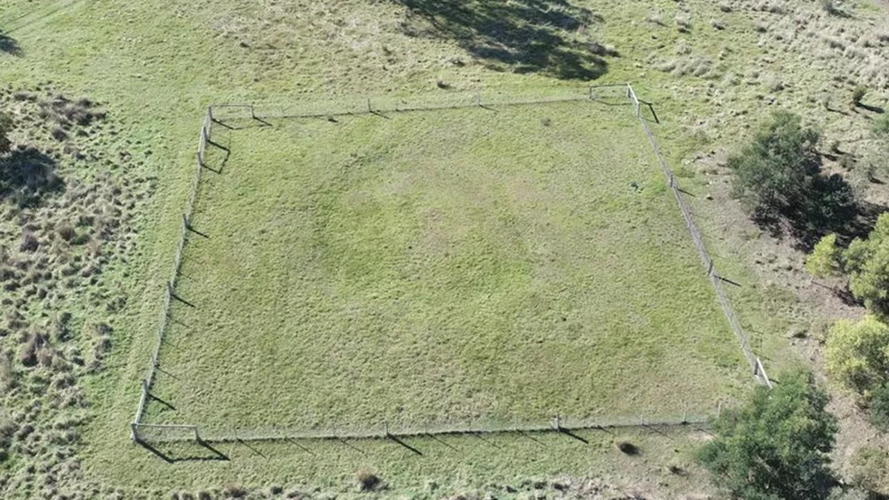 lingkaran misterius di australia