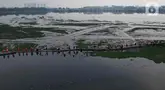 Pemandangan udara ketika puluhan petugas dari Unit Penanganan Sampah (UPS) Badan Air Dinas Lingkungan Hidup DKI Jakarta mengangkat tanaman eceng gondok di area Waduk Pluit, Jakarta Utara, Kamis (8/8/2024). (Liputan6.com/Herman Zakharia)