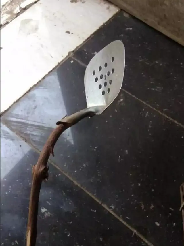 6 Potret Spatula Nyeleneh Ini Bikin Tepuk Jidat, Tidak Dijual di Pasaran