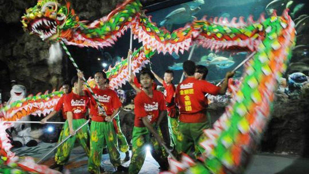 Atraksi Liong dan Barongsai hibur pengunjung Sea World Ancol
