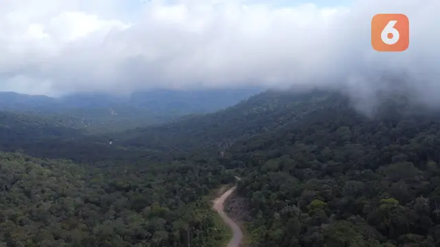 Gunung Babi, Tabang, Kukar