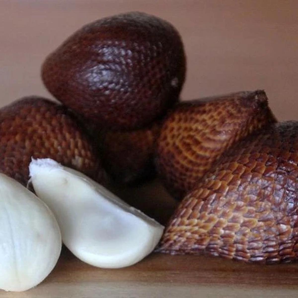 Buah dan biji salak bermanfaat untuk kesehatan.