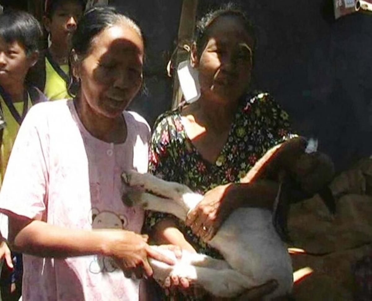Penampakan anak kambing berkepala mirip kera gegerkan warga Batang