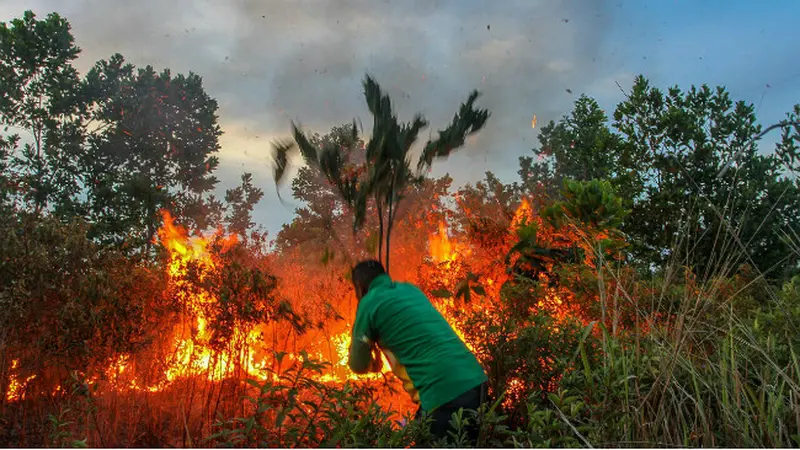 Gawat, Riau Dinyatakan BMKG Rawan Kebakaran Lahan Lagi