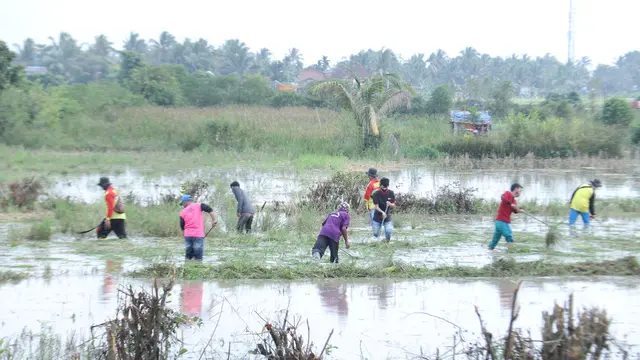 Menyulap Pulau Kemaro Jadi Objek Wisata Air di Palembang