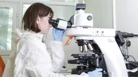 Seorang peneliti bekerja di laboratorium Institut Penelitian Ilmiah Epidemiologi dan Mikrobiologi Gamaleya, Moskow, Rusia, 6 Agustus 2020. Menurut Presiden Rusia Vladimir Putin pada 11 Agustus 2020, negaranya telah mendaftarkan vaksin COVID-19 pertama di dunia. (Xinhua/RDIF)