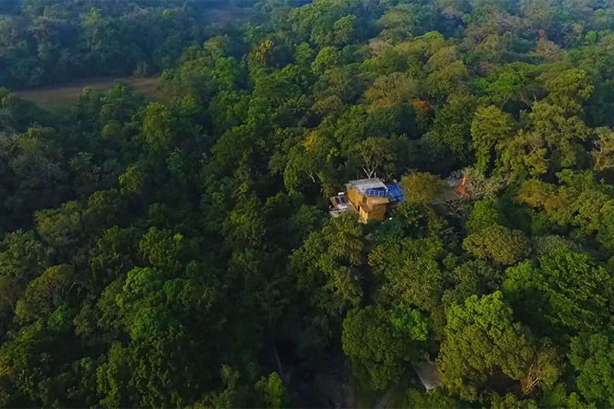 Menghabiskan Waktu 26 Tahun, Untuk Membangun Kembali Hutan Hujan