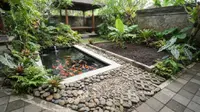 7 Cara Menggabungkan Kolam Ikan dan Kebun tanpa Membuat Halaman Becek, Asri dan Bersih