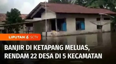 Curah hujan tinggi membuat kondisi banjir di Kabupaten Ketapang, Kalimantan Barat, semakin meluas. Sebanyak tak kurang 
dari lima kecamatan terdampak akibat musibah banjir.