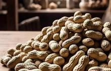 Penderita Asam Urat Boleh Konsumsi Kacang-Kacangan atau Tidak? Berikut Penjelasannya!