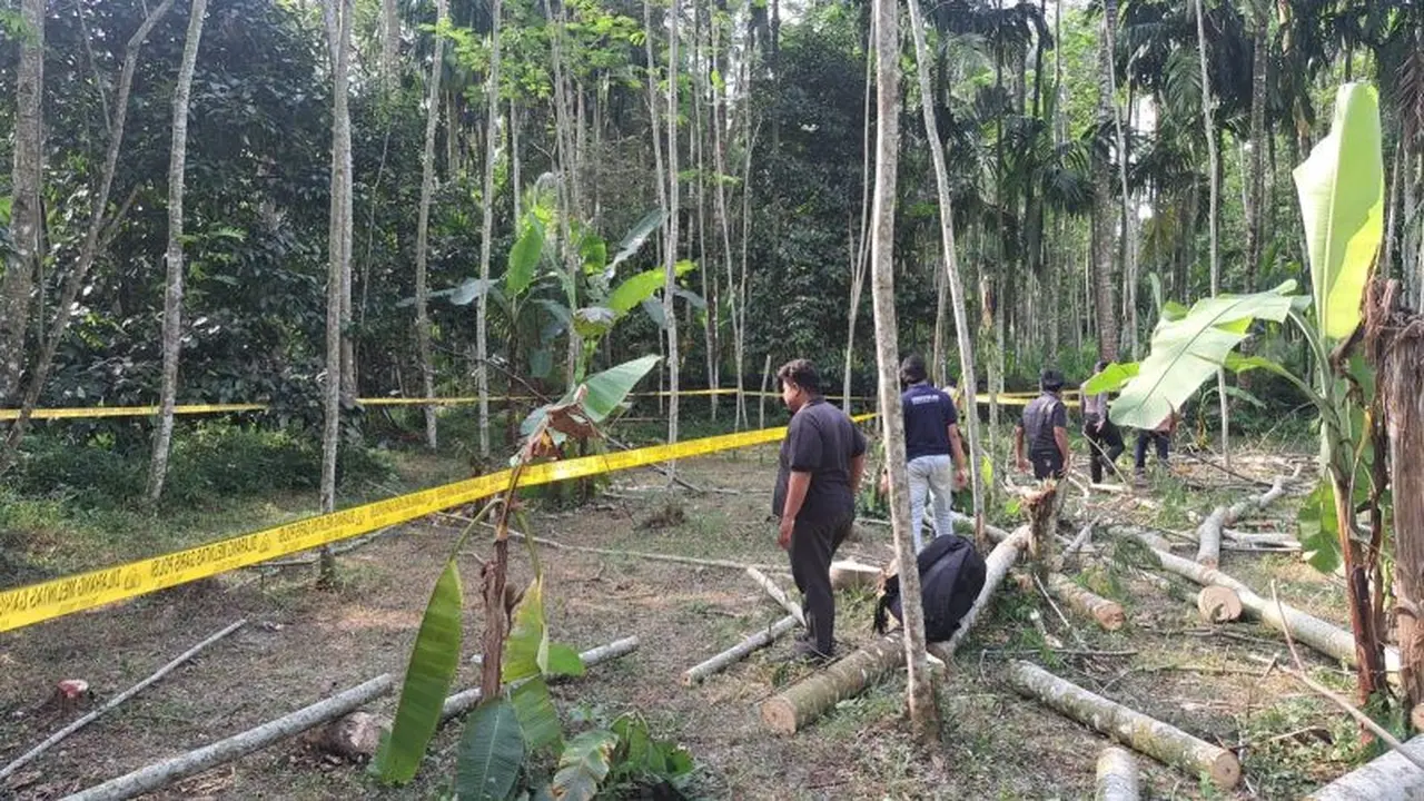 Tragis, Berawal  Dari Sengketa Daun Nangka, Dua Kerabat di Lumajang Duel Carok Hingga 1 Tewas.