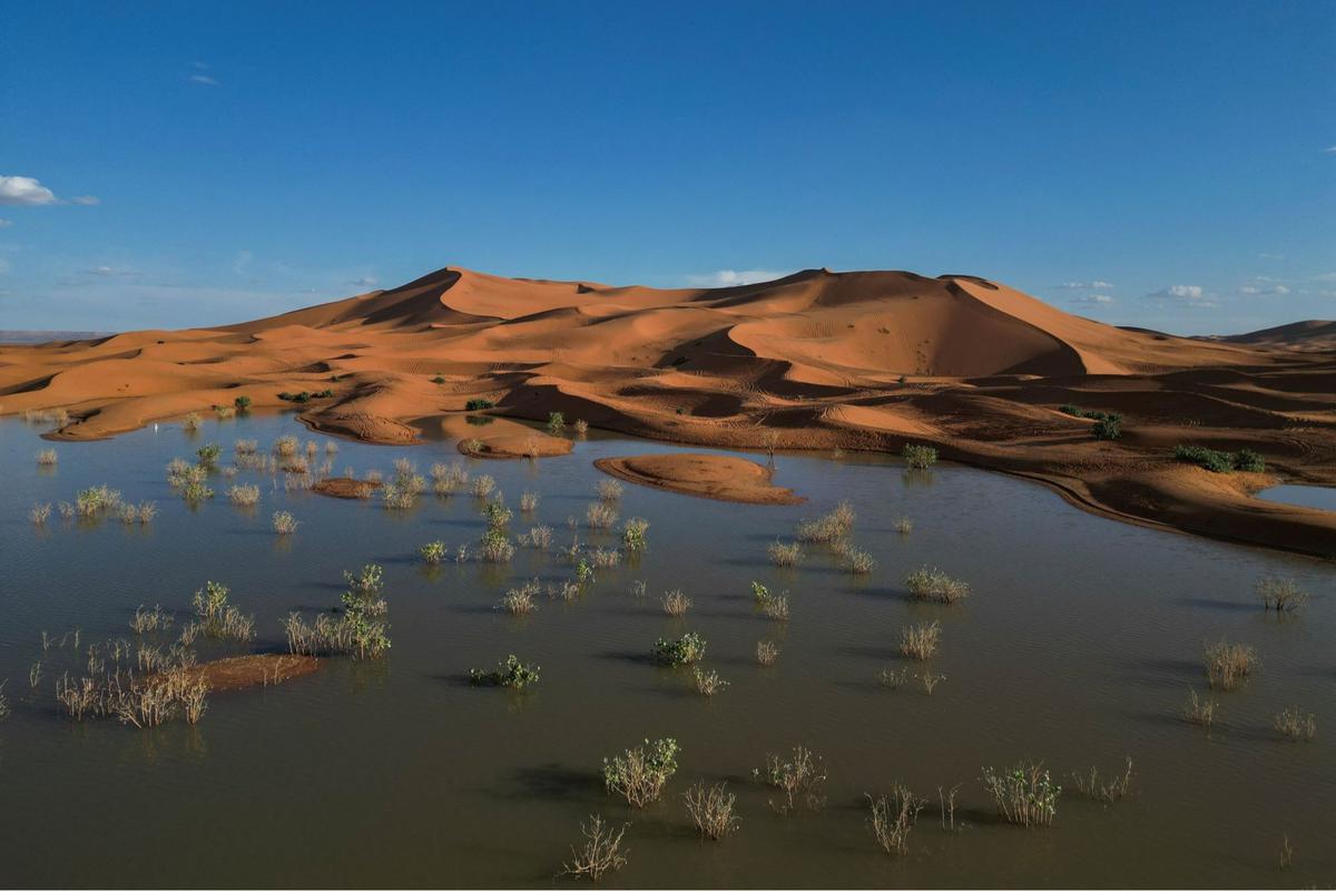 Penampakan Gurun Sahara Dilanda Banjir Langka