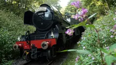 Lokomotif uap Flying Scotsman berjalan di sepanjang jalur East Lancashire Railway dekat stasiun Ramsbottom, Inggris, 5 September 2018. The Flying Scotsman merupakan kereta pertama di Britain yang memiliki kecepatan hingga 100 mil per jam. (OLI SCARFF/AFP)