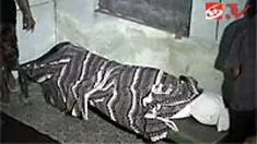 liputan6