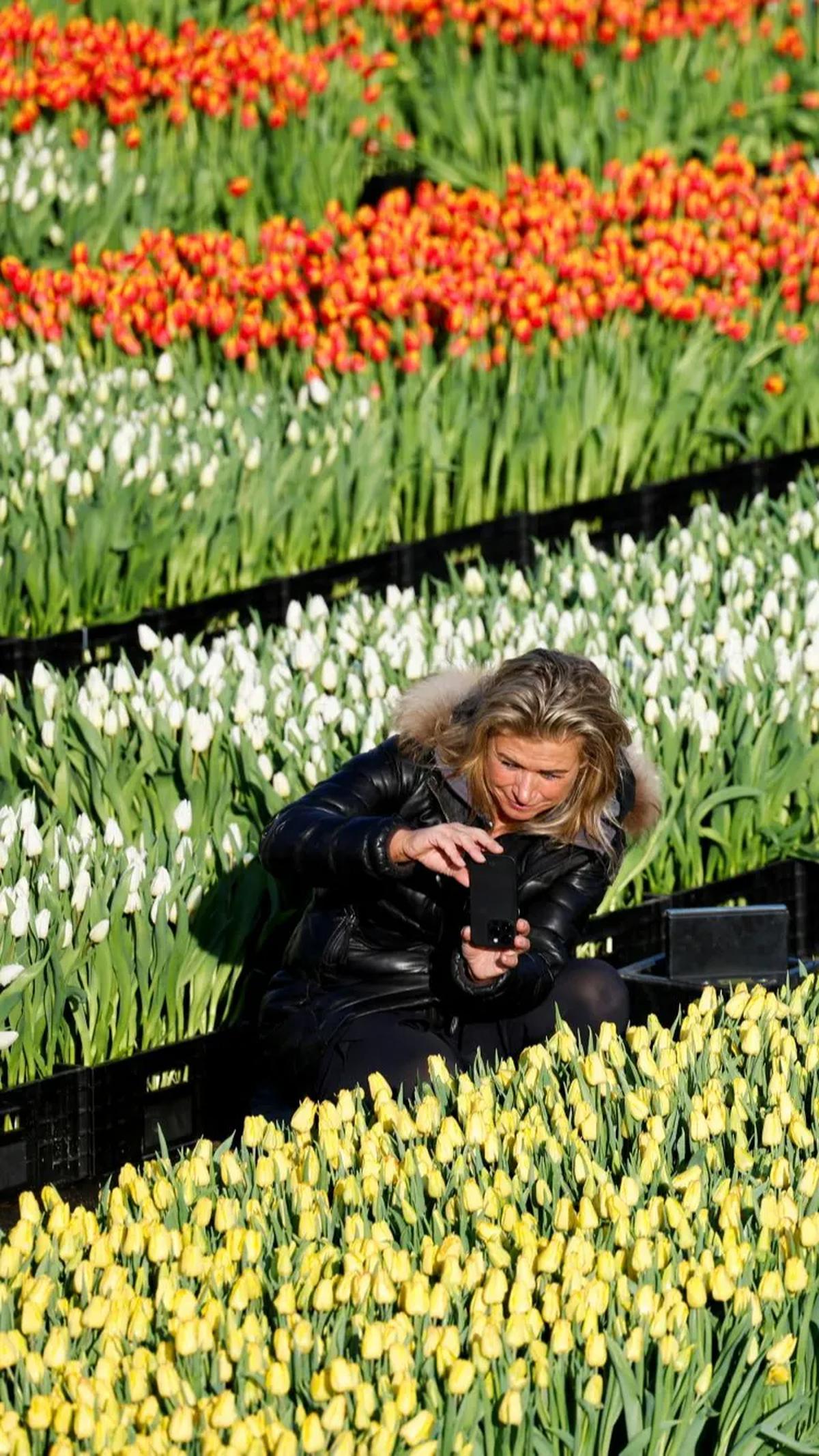 5. Belanda