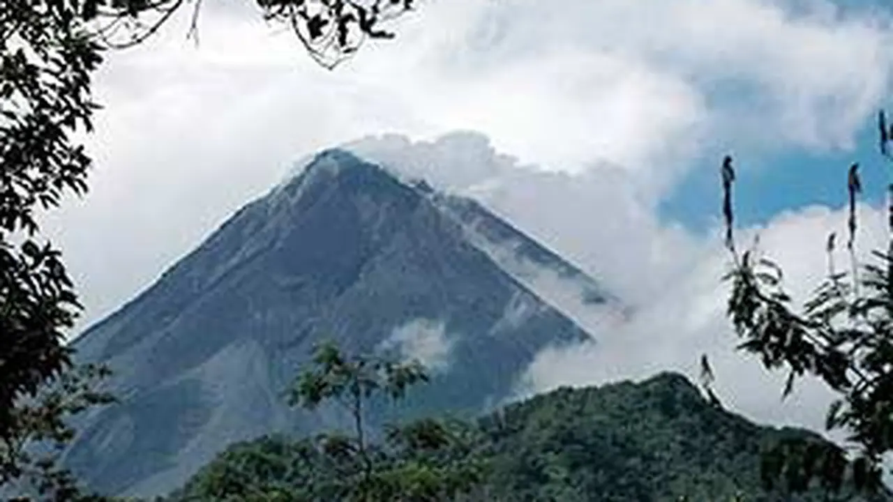 liputan6