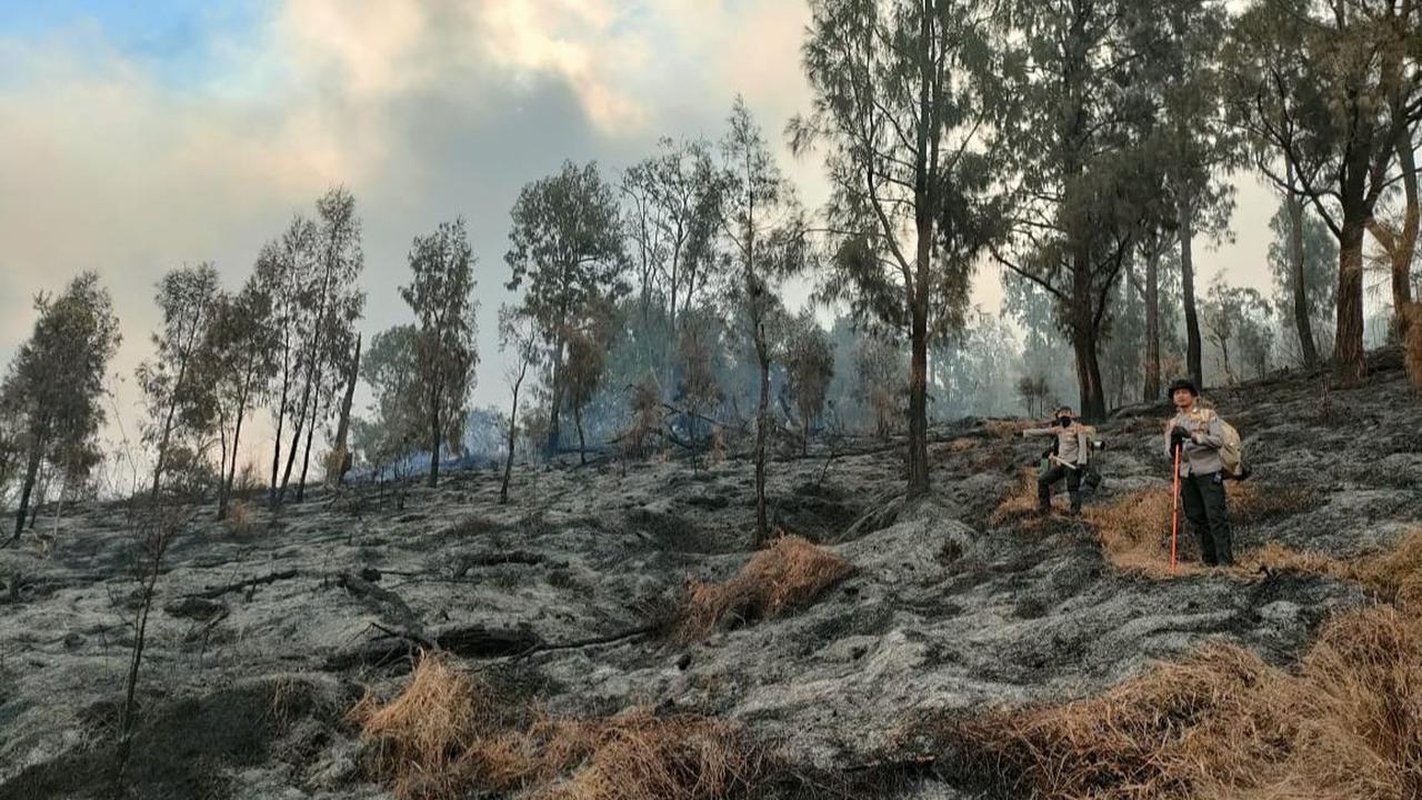 Tim Gabungan berangkat ke titik api melalui Candi Telih menuju Puncak Bukit Ratan di Kecamatan Singosari. Mereka terus memantau kobaran api di lokasi. Selain itu, petugas juga membuat ilaran yang berfungsi melokalisir api agar tidak merembet lebih luas.<b