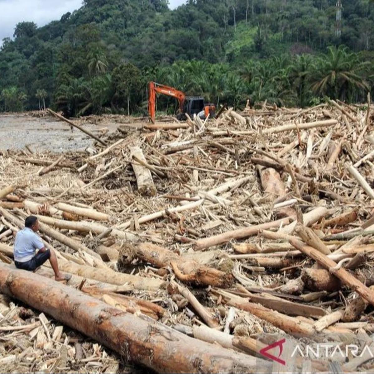 Kayu gelondongan besar terbawa arus banjir di Sumatera