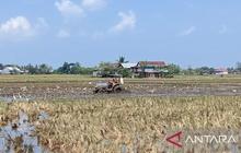 Bupati Sidrap Airi Sawah Terdampak Kemarau, Jaga Produktivitas Pangan Nasional