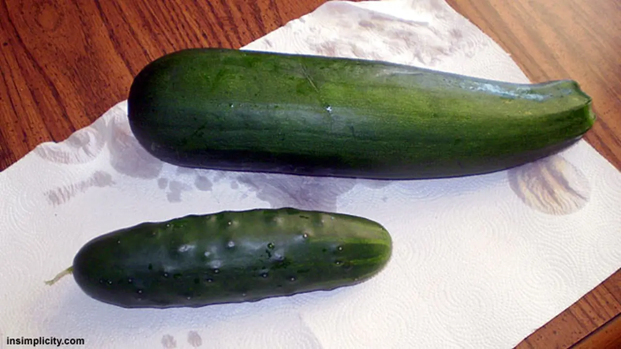 sayur-mainan-seks-131011b.jpg