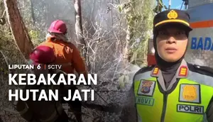 Musim Kemarau, Hutan Jati Terbakar