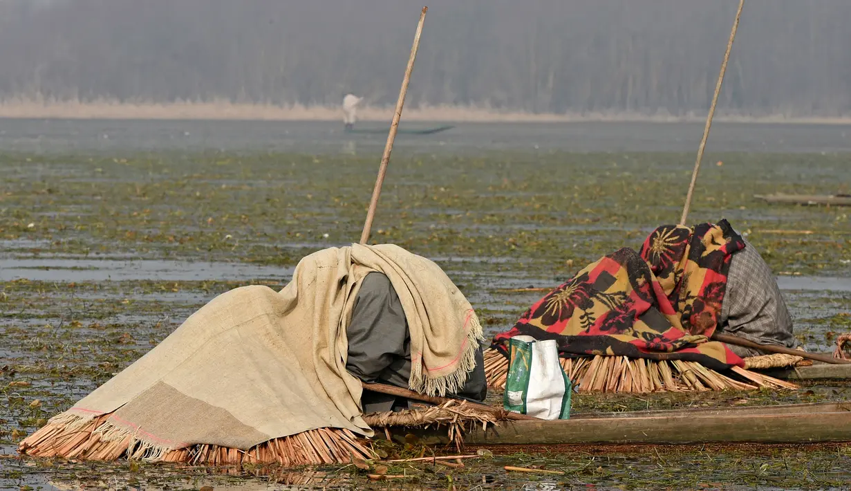 Nelayan Kashmir menutupi kepala dan sebagian tubuhnya ketika menangkap ikan di Danau Anchar, pinggiran Srinagar, India, 28 Desember 2017. Cara unik itu merupakan taktik mereka untuk menangkap ikan yang sudah dilakukan turun temurun. (TAUSEEF MUSTAFA/AFP)