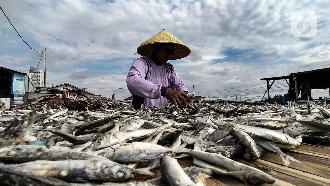 FOTO: Nelayan Ikan Asin Terdampak Pandemi dan Musim Penghujan