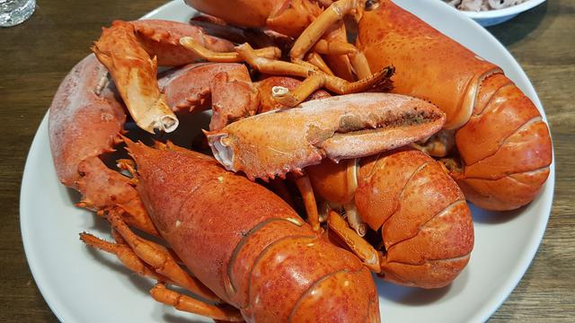 Beli Lobster Wanita Ini Temukan Hal Tak Terduga Di Dalamnya Hot