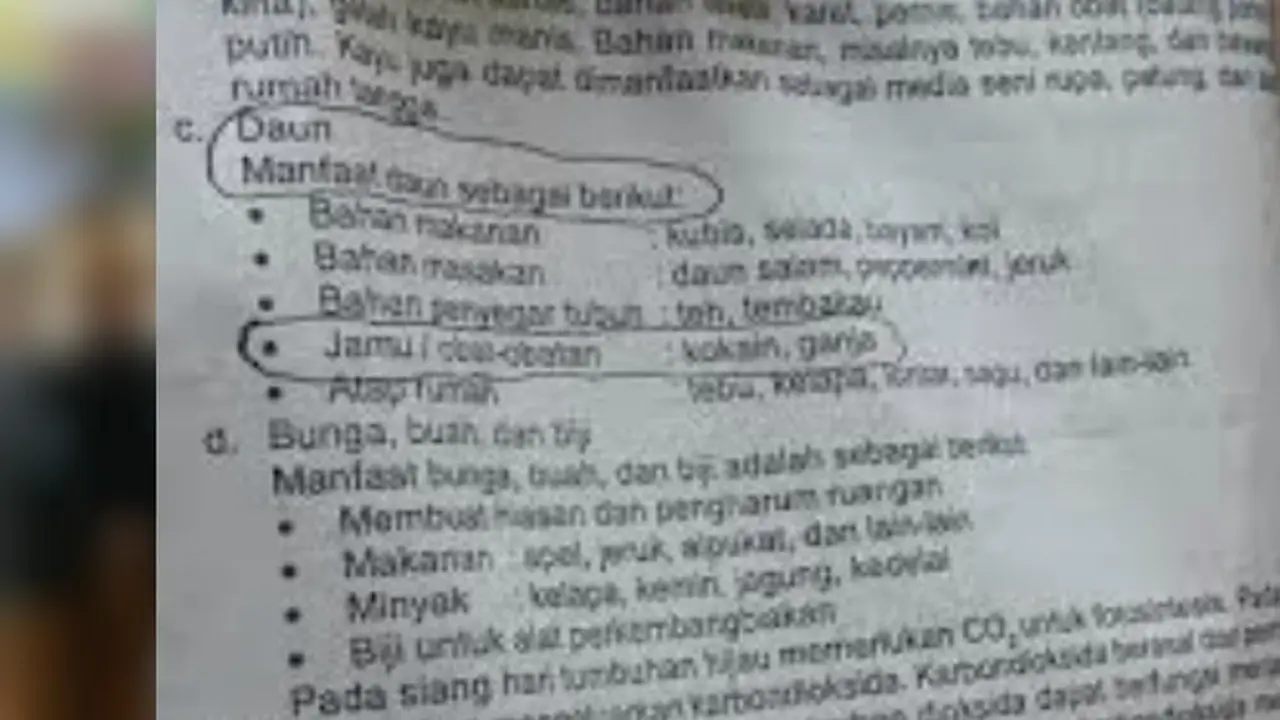 Buku LKS SD sebutkan kokain dan ganja golongan jamu.