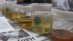 liputan6