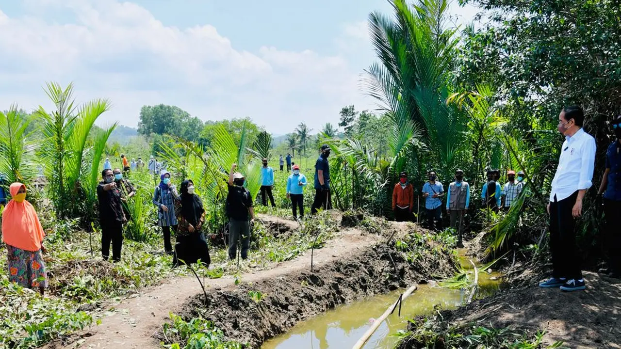 Presiden Jokowi bersama masyarakat menanam mangrove di Cilacap. (Foto: Liputan6.com/Biro Pers, Media, dan Informasi Sekretariat Presiden)