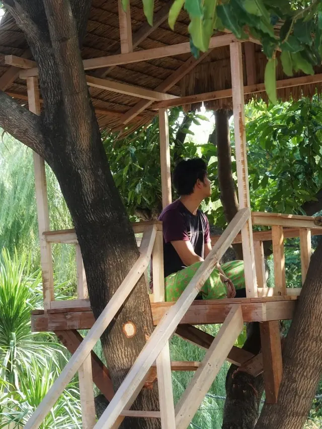 Rumah pohon Cakra Khan