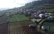 Keindahan Desa Tertinggi di Pekalongan yang Selalu Berselimut Kabut, Berada pada Ketinggian di Atas 1.000 MDPL