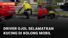 Seorang driver ojol selamatkan anak kucing yang masuk ke kolong mobil di tengah jalan viral di media sosial