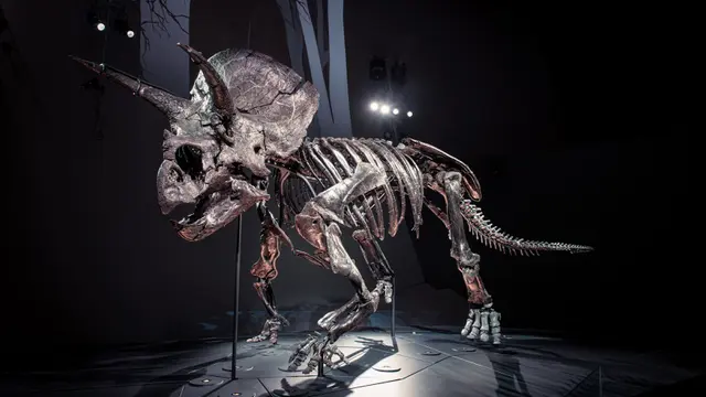Dinosaurus
