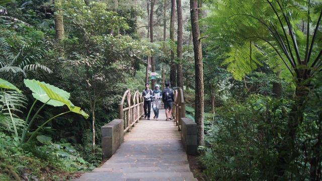 Segar Tanpa Bau Petai di Curug Cipeuteuy
