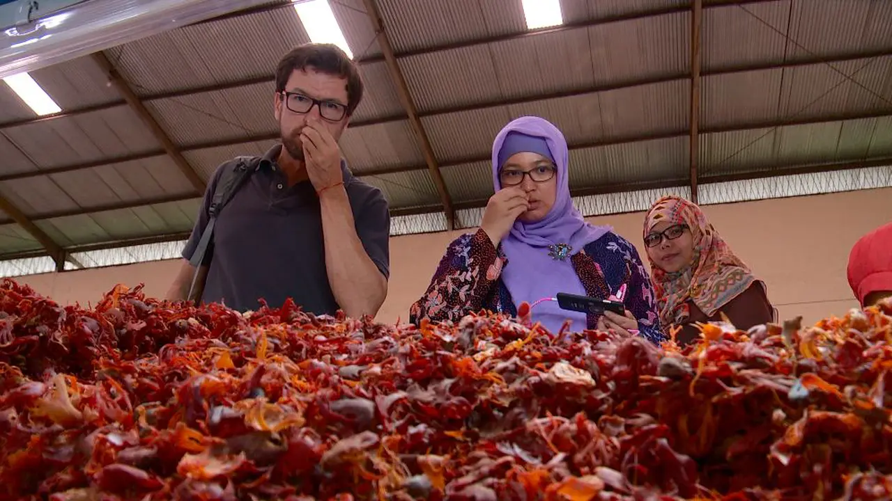 Uni Eropa membantu peningkatan kualitas pala Siau