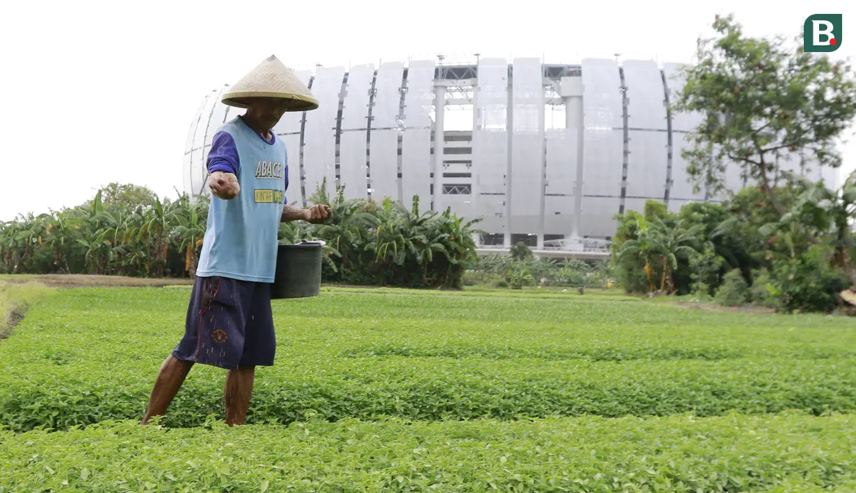 Salah satu petani di kawasan tersebut mengaku mampu meraup keuntungan dari menjual sayur hingga Rp. 3 Juta perbulan. (Bola.com/M iqbal Ichsan)