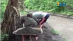Dari material Gunung Agung yang mengendap di sungaiWarga bisa mengumpulkan pasir sebanyak satu mobil pick up dan dijual Rp 250 ribu.