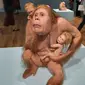 Patung hybrid chimera antara manusia dan orang utan karya Patricia Paccinini "Wonderful of Weirdness" dihadirkan dalam pameran "Patrician Paccinini: CARE" yang akan berlangsung dari 23 Mei hingga 6 Oktober 2024 di Museum MACAN, Jakarta Barat. (dok. Liputan6.com/Rusmia Nely)