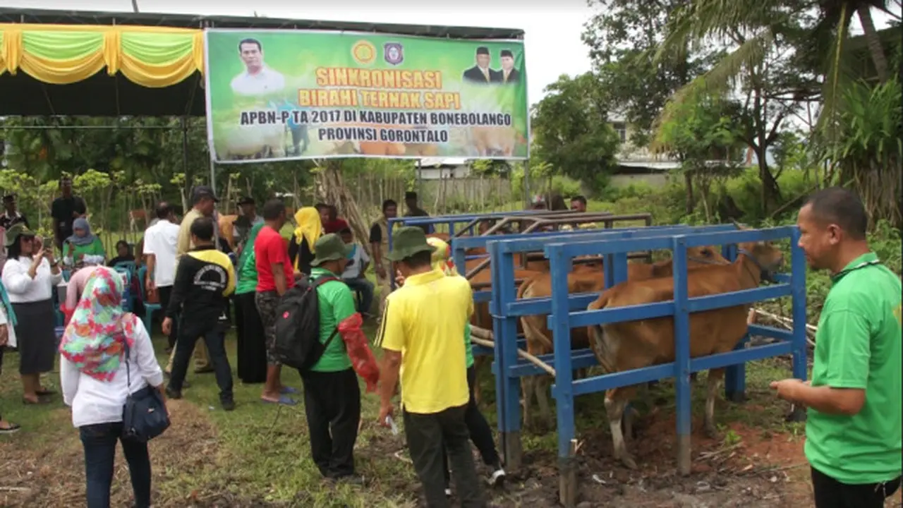 (Foto: Liputan6.com/Aldiansyah)