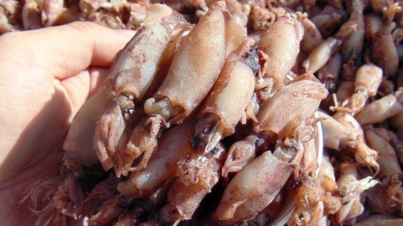Cara Cepat dan Mudah Menghilangkan Rasa Asin yang Berlebihan pada Cumi, Dijamin Makanan Jadi Lebih Nikmat