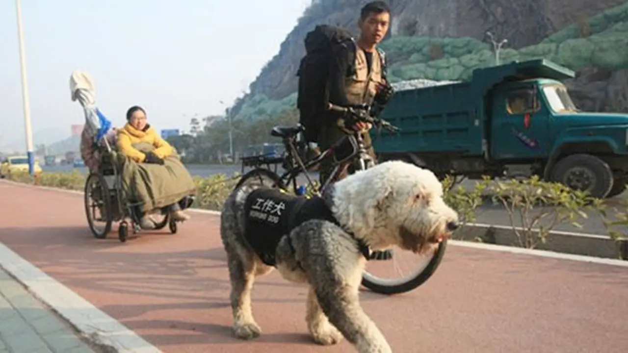 foto: copyright chinadaily.com.cn