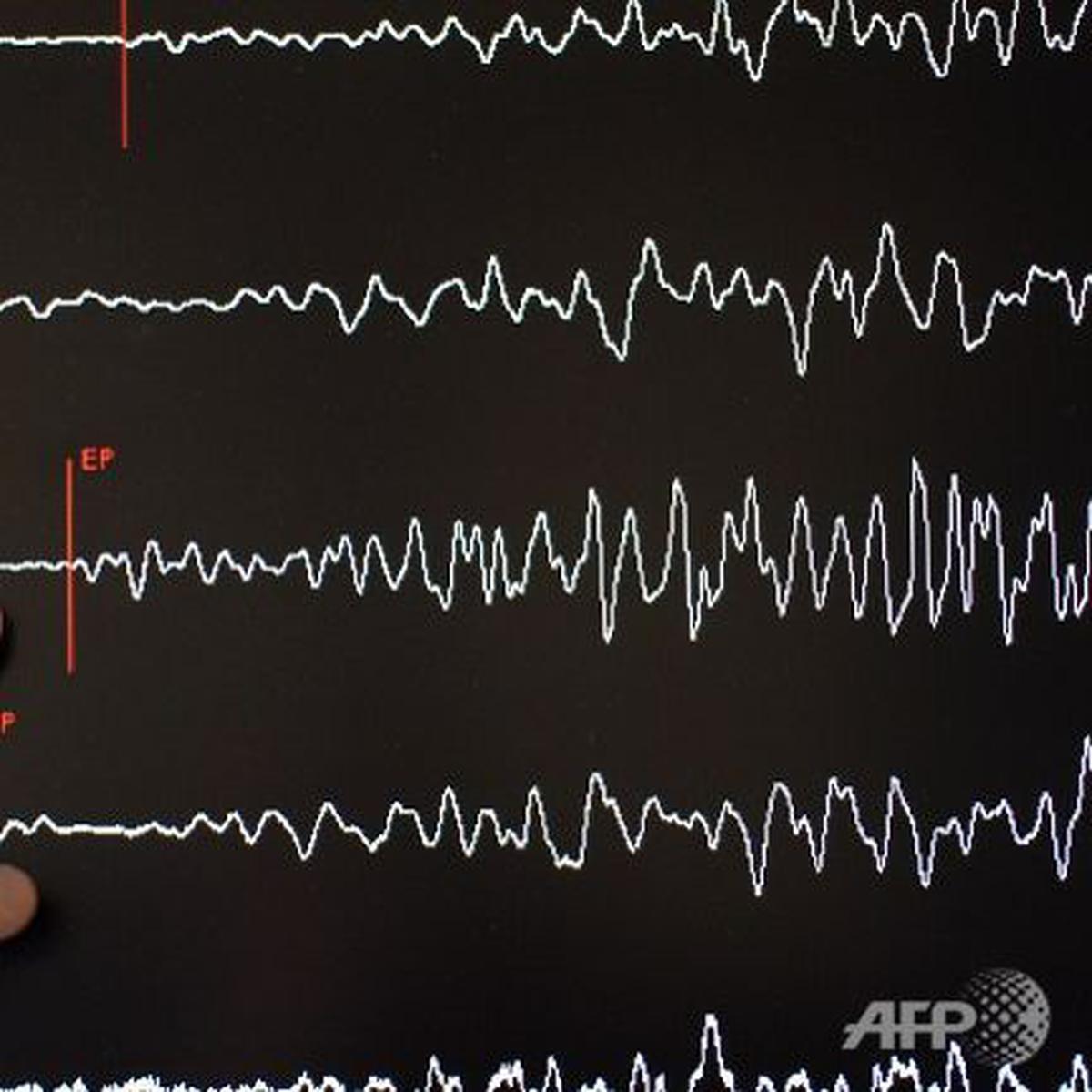 9 Arti Mimpi Gempa Bumi, Pertanda Kecemasan Dan Kegelisahan - Ragam Bola.com