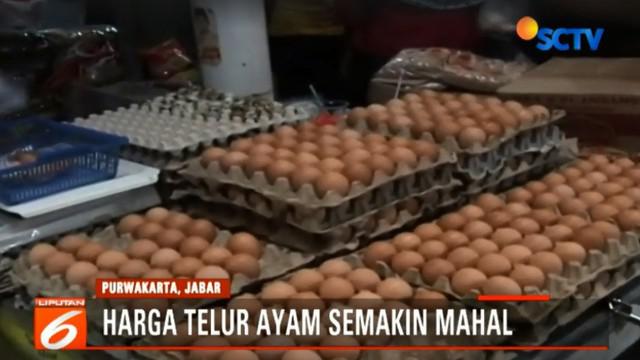Berita Harga Telur Ayam Naik Hari Ini Kabar Terbaru Terkini Liputan6 Com