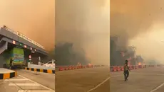 Viral Kabut Asap Kebakaran Hutan Selimuti Tol Lampung