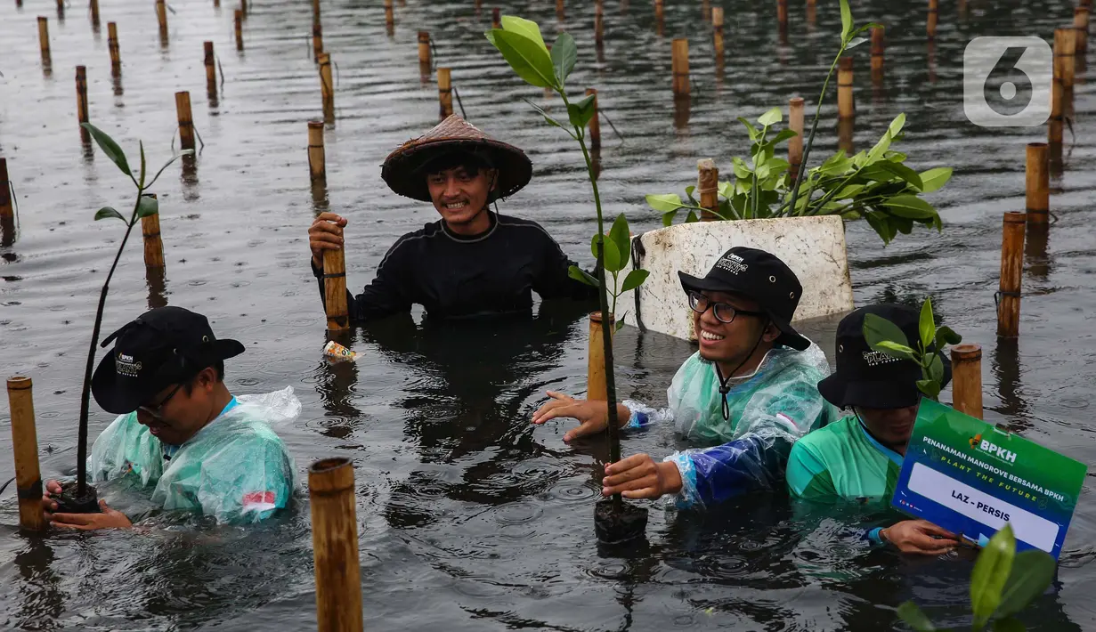 Penanaman 1.000 pohon mangrove juga bertujuan membangun green economy sesuai visi pemerintah serta memperingati hari pohon se-dunia. (Liputan6.com/Angga Yuniar)