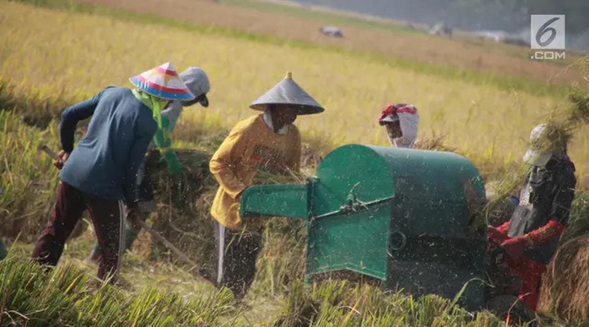 Waskita Karya Raih Kontrak Proyek Irigasi Rp 318,54 Miliar di Sumsel